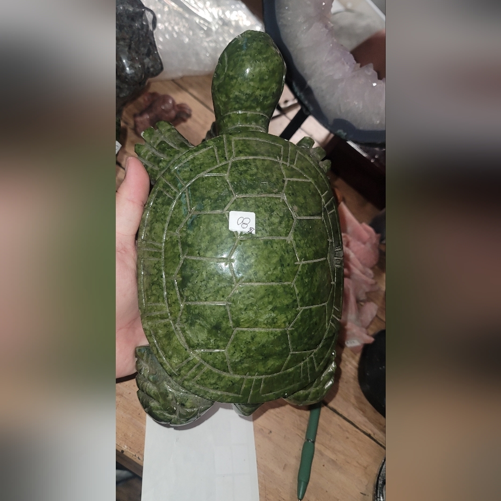 Huge jade turtle over 7 pounds